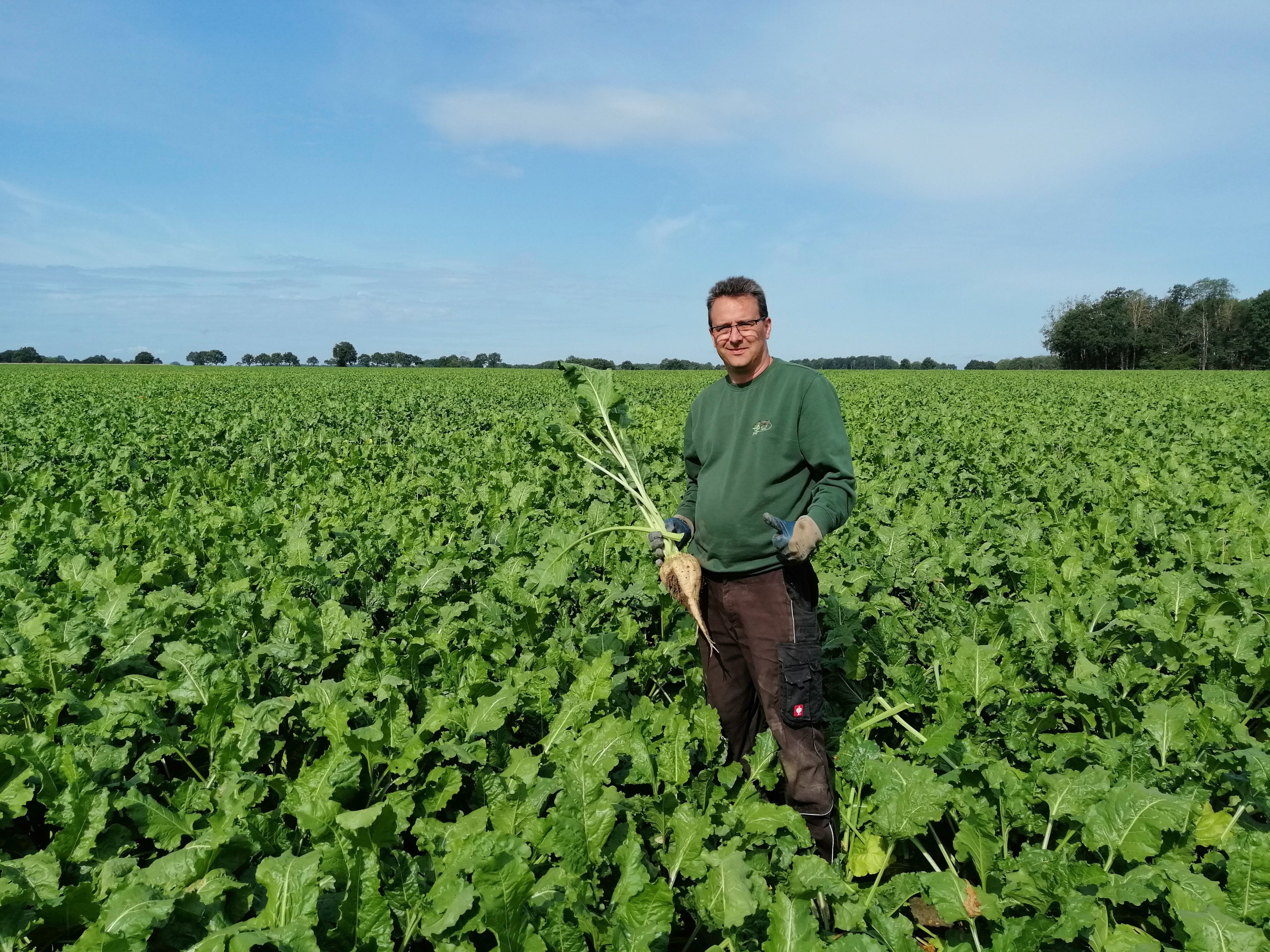 Frederik vom Hof Lenz bei der Ernte einer Zuckerrübe – nachhaltiger Ackerbau und regionale Landwirtschaft in der Lüneburger Heide