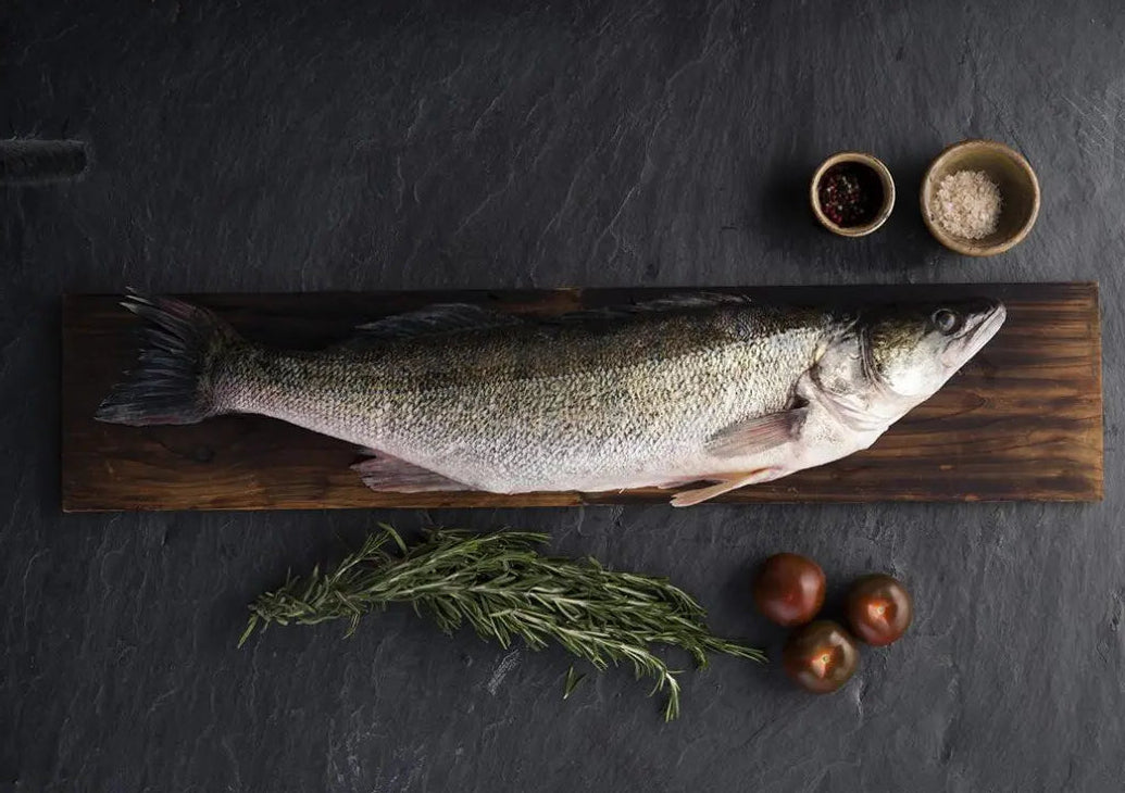 5. - Zander aus eigener Produktion 1100 - 1300 g incl.Versandkosten