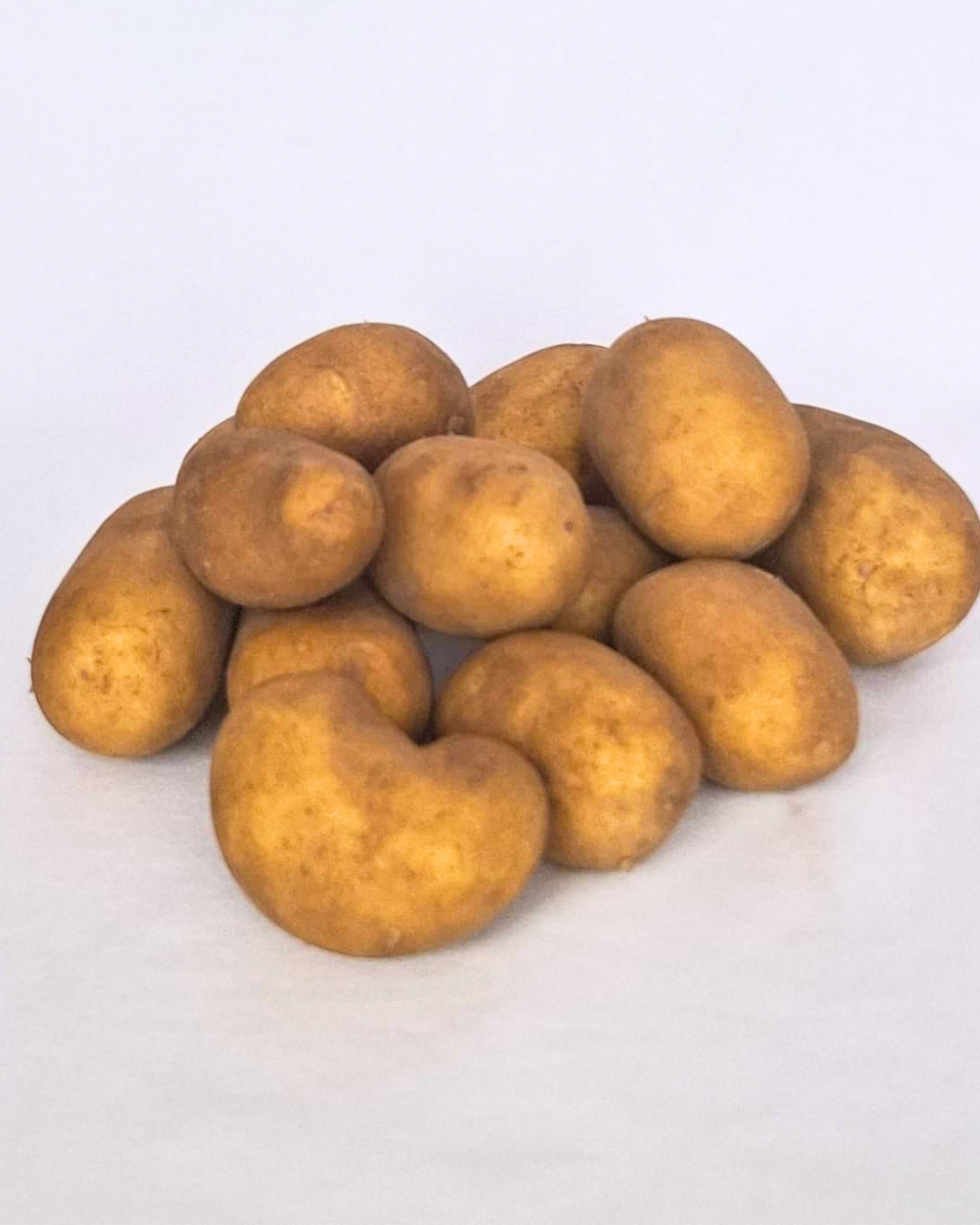 Mehrere festkochende Kartoffeln der Sorte "Glorietta" sind zu einem kleinen Haufen auf hellem Hintergrund arrangiert. Die Knollen haben eine glatte, gelbe Schale und unterschiedliche Größen. Das Bild zeigt die Kartoffeln in ihrer natürlichen Form ohne Verpackung.