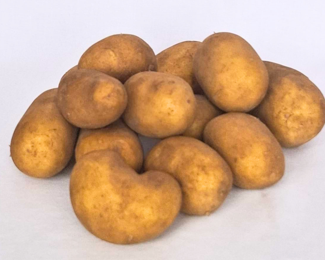Mehrere festkochende Kartoffeln der Sorte "Glorietta" sind zu einem kleinen Haufen auf hellem Hintergrund arrangiert. Die Knollen haben eine glatte, gelbe Schale und unterschiedliche Größen. Das Bild zeigt die Kartoffeln in ihrer natürlichen Form ohne Verpackung.