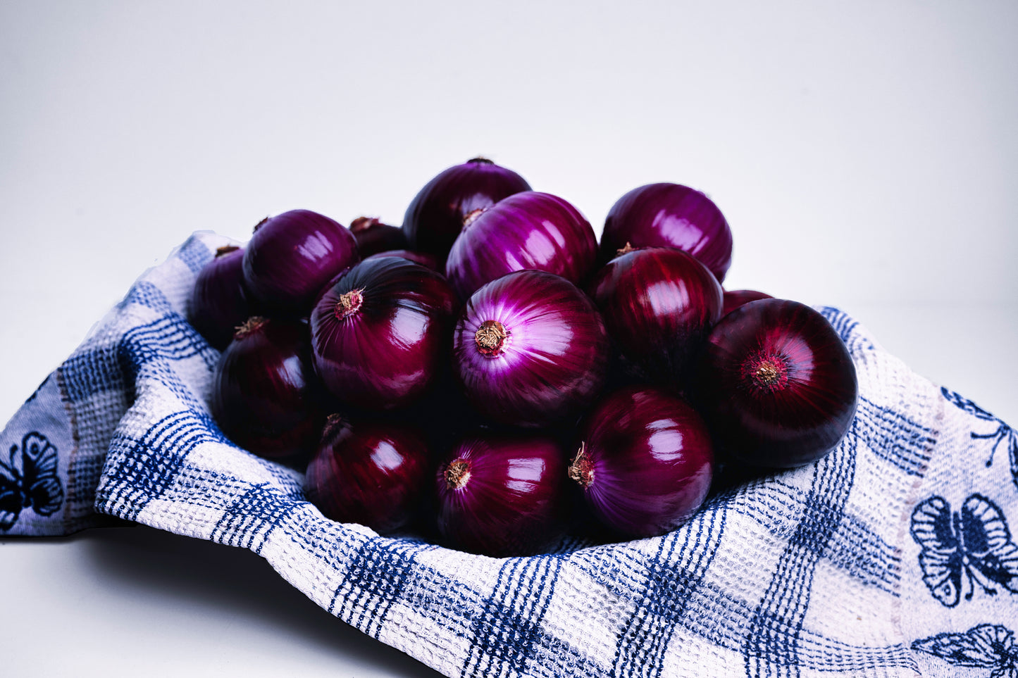 Red Tide Zwiebeln vom Hof Lenz – aromatische rote Zwiebeln auf Leinentuch, frisch geerntet und schonend gelagert für intensiven Geschmack und lange Haltbarkeit.