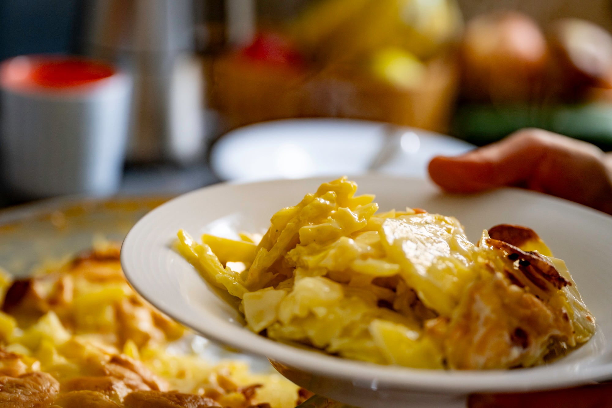 Hausgemachtes Kartoffelgratin mit goldbrauner Kruste aus frischen Kartoffeln vom Hof Lenz in Niedersachsen