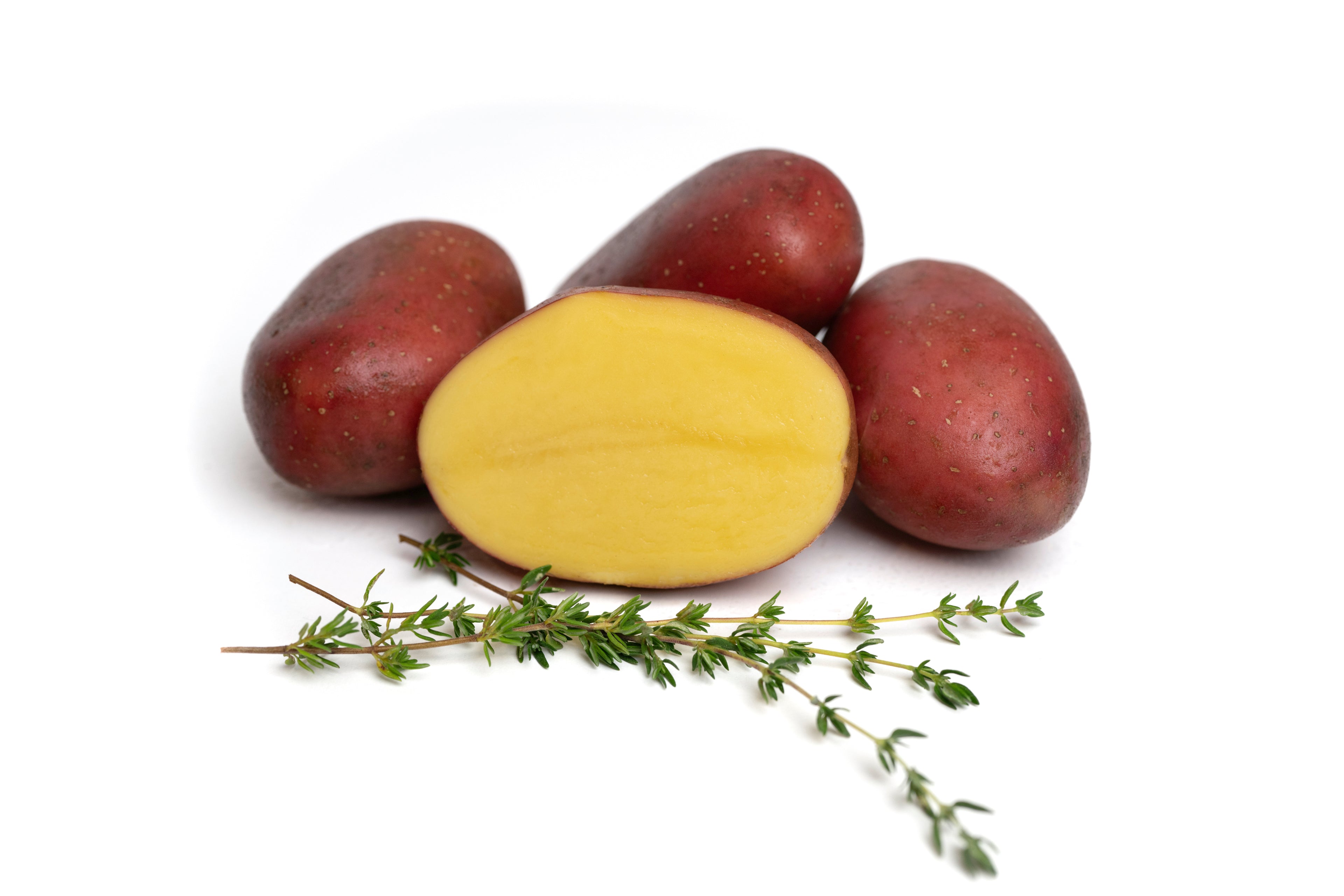 Laura-Kartoffel mit roter Schale, aufgeschnitten und mit frischem Thymian garniert – festkochend, fein im Geschmack, ideal für Salate, Gratins und Pellkartoffeln, direkt vom Hof Lenz.
