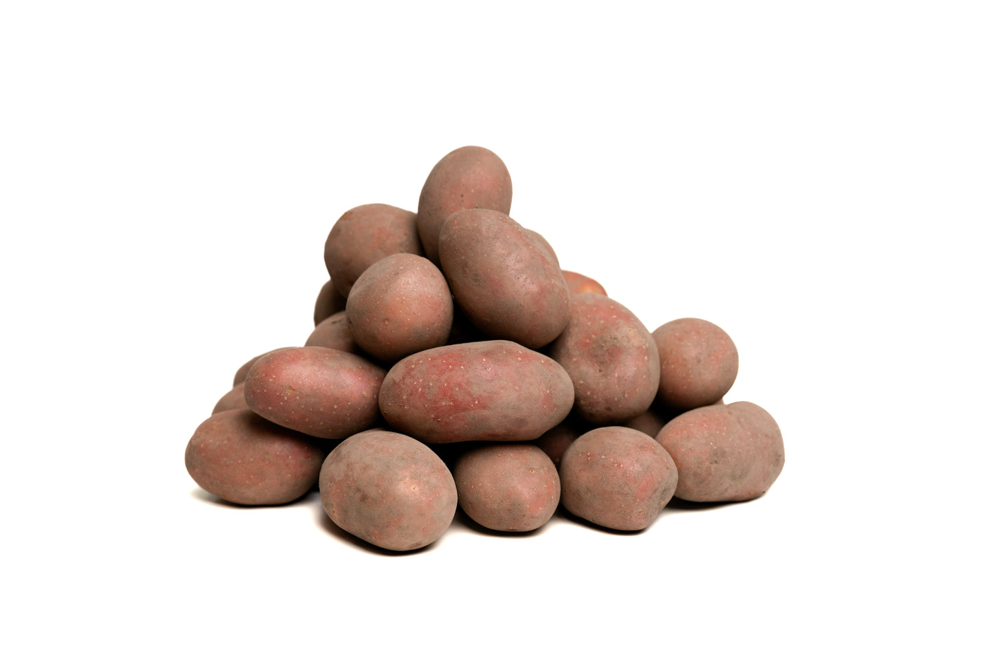 Ungewaschene Laura-Kartoffeln mit roter Schale vom Hof Lenz – vorwiegend festkochend, intensiv gelbfleischig und aromatisch im Geschmack, ideal für Bratkartoffeln, Ofengerichte und Salate. Direkt vom Feld in Wrestedt.