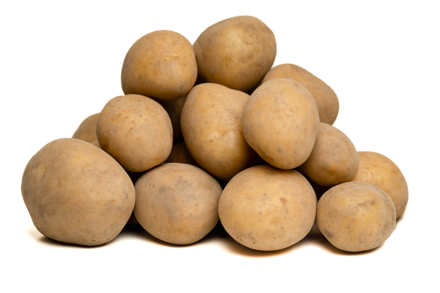 Frisch geerntete Lilly-Kartoffeln mit feiner Erdschicht – vorwiegend festkochend, goldgelb und aromatisch, ideal für Bratkartoffeln und Salate, direkt vom Acker des Hofs Lenz.