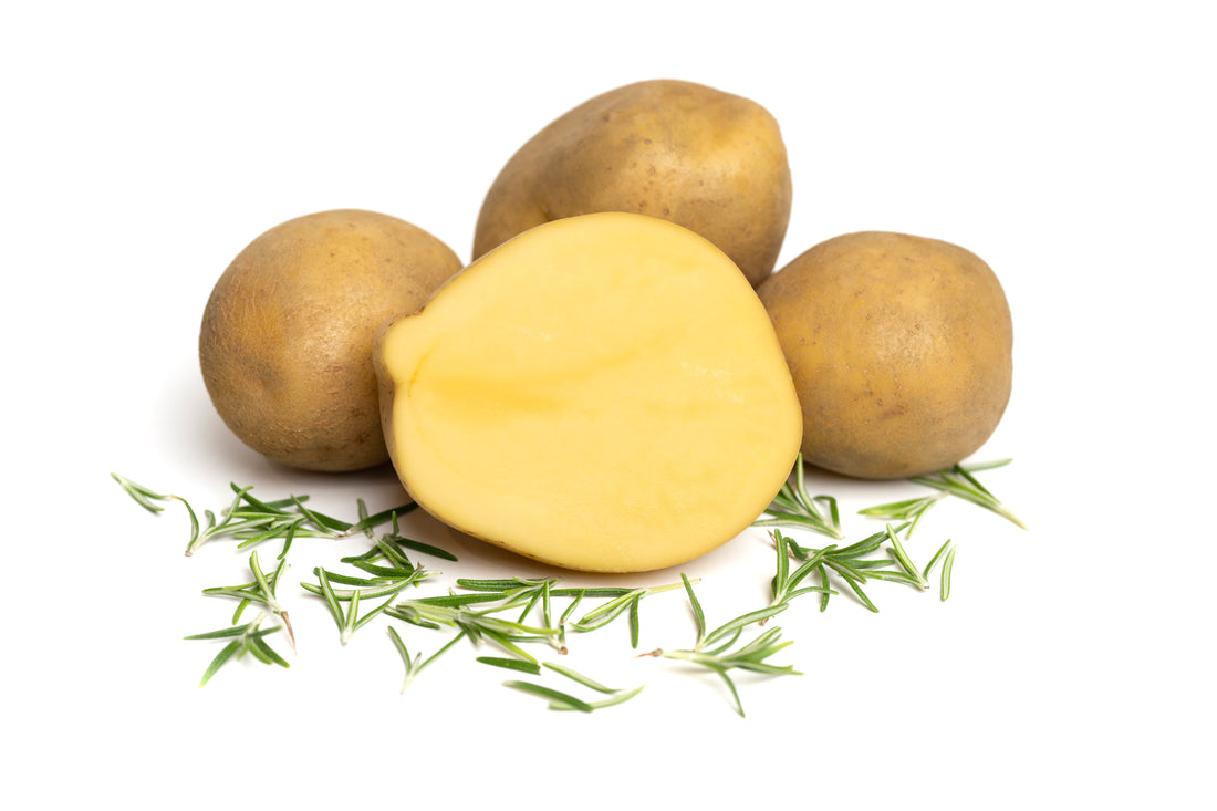 Kartoffelsorte Lilly - die mehligkochende Spezialistin aus der Heide