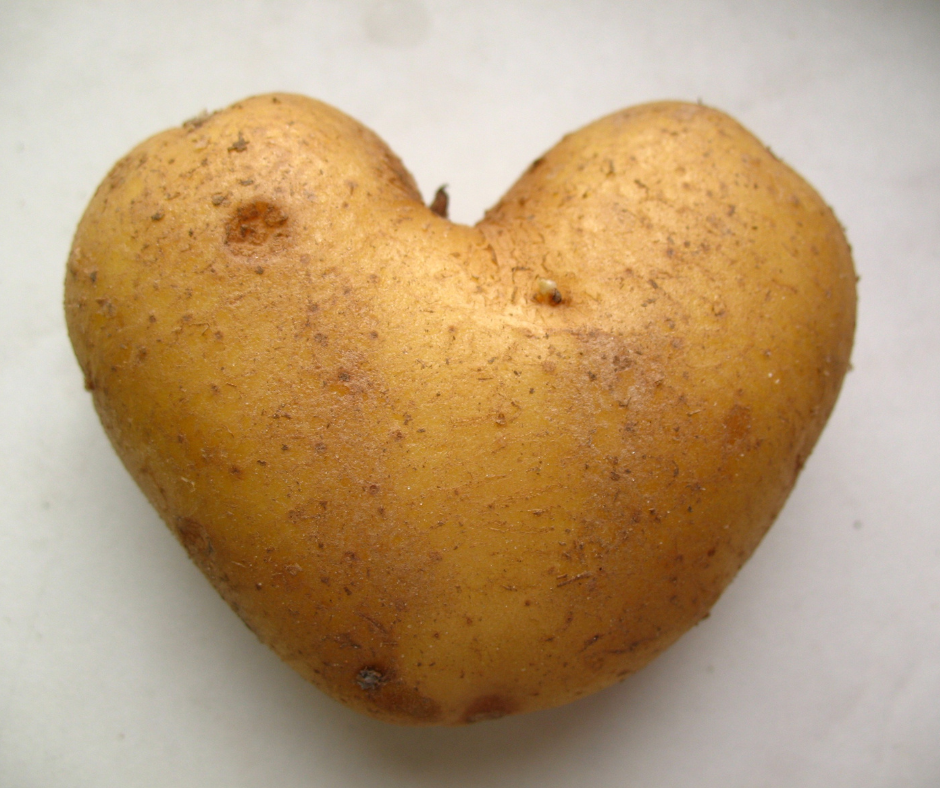 Die beliebtesten Kartoffelsorten in Deutschland und warum unsere Heide-Kartoffeln dazugehören