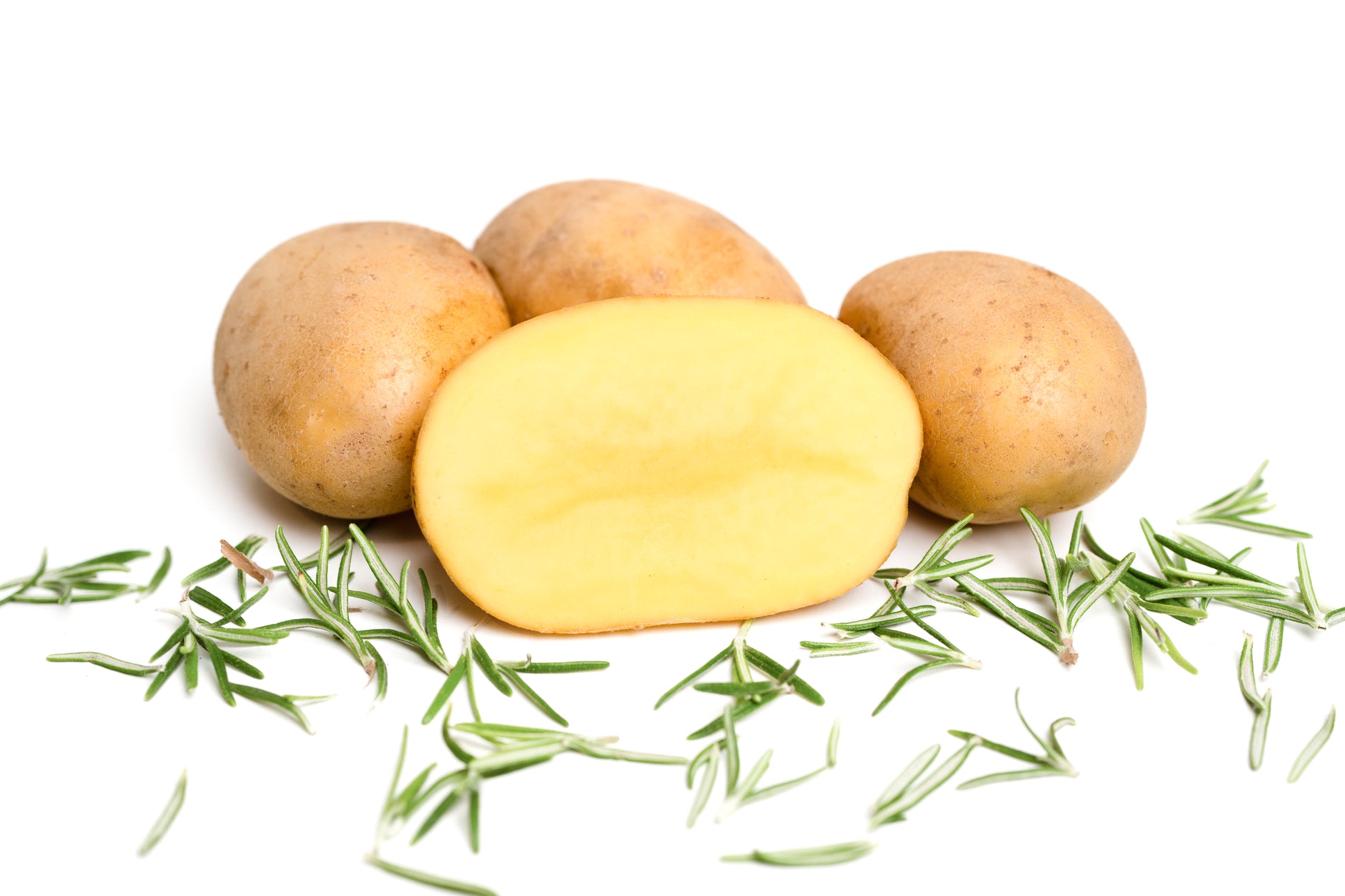 Aufgeschnittene Belana-Kartoffel vom Hof Lenz mit Rosmarin auf weißem Hintergrund – festkochend, goldgelbes Fleisch, ideal für Bratkartoffeln und Salate.