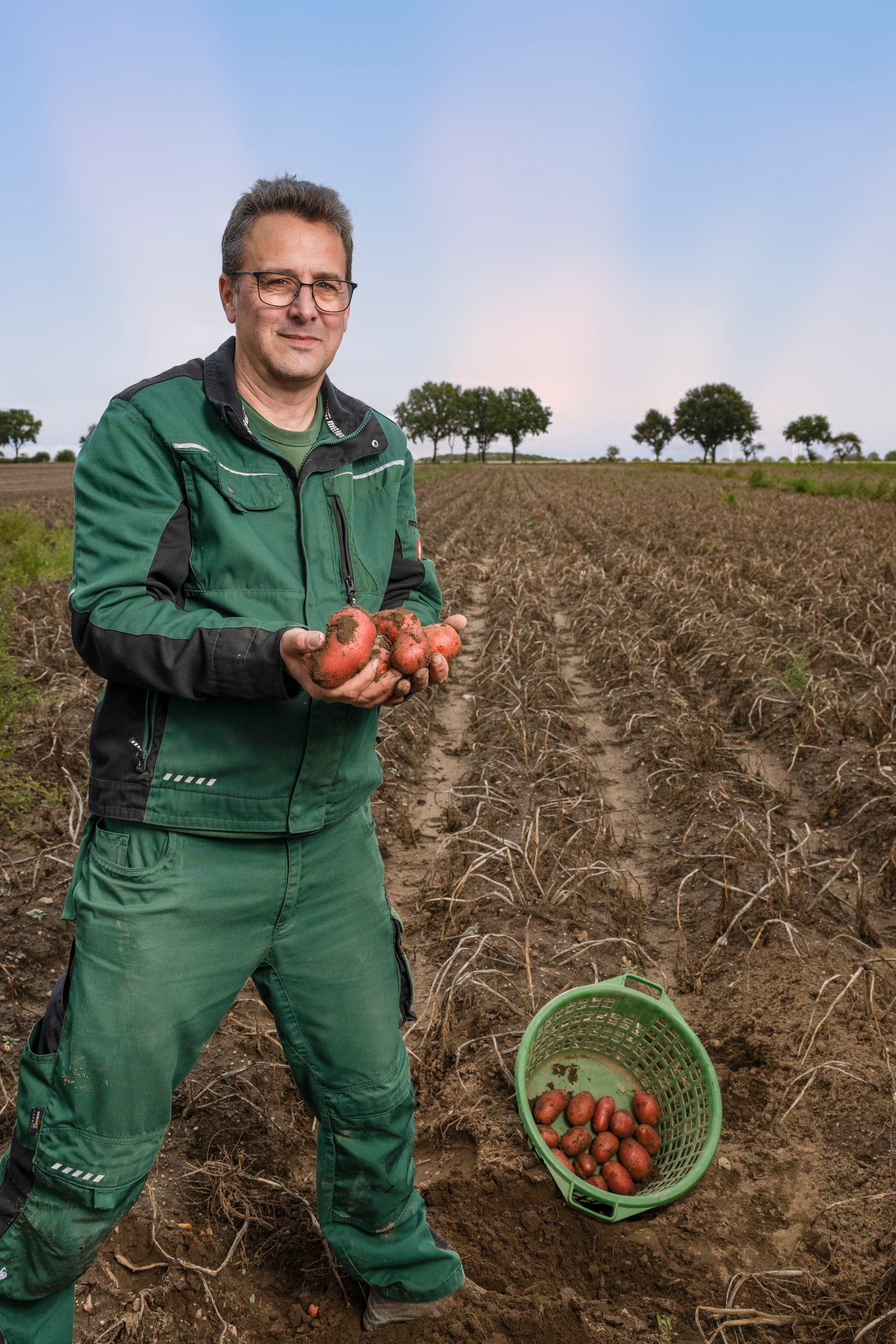 Frederik vom Hof Lenz zeigt frisch geerntete rotschalige Kartoffeln auf dem Acker