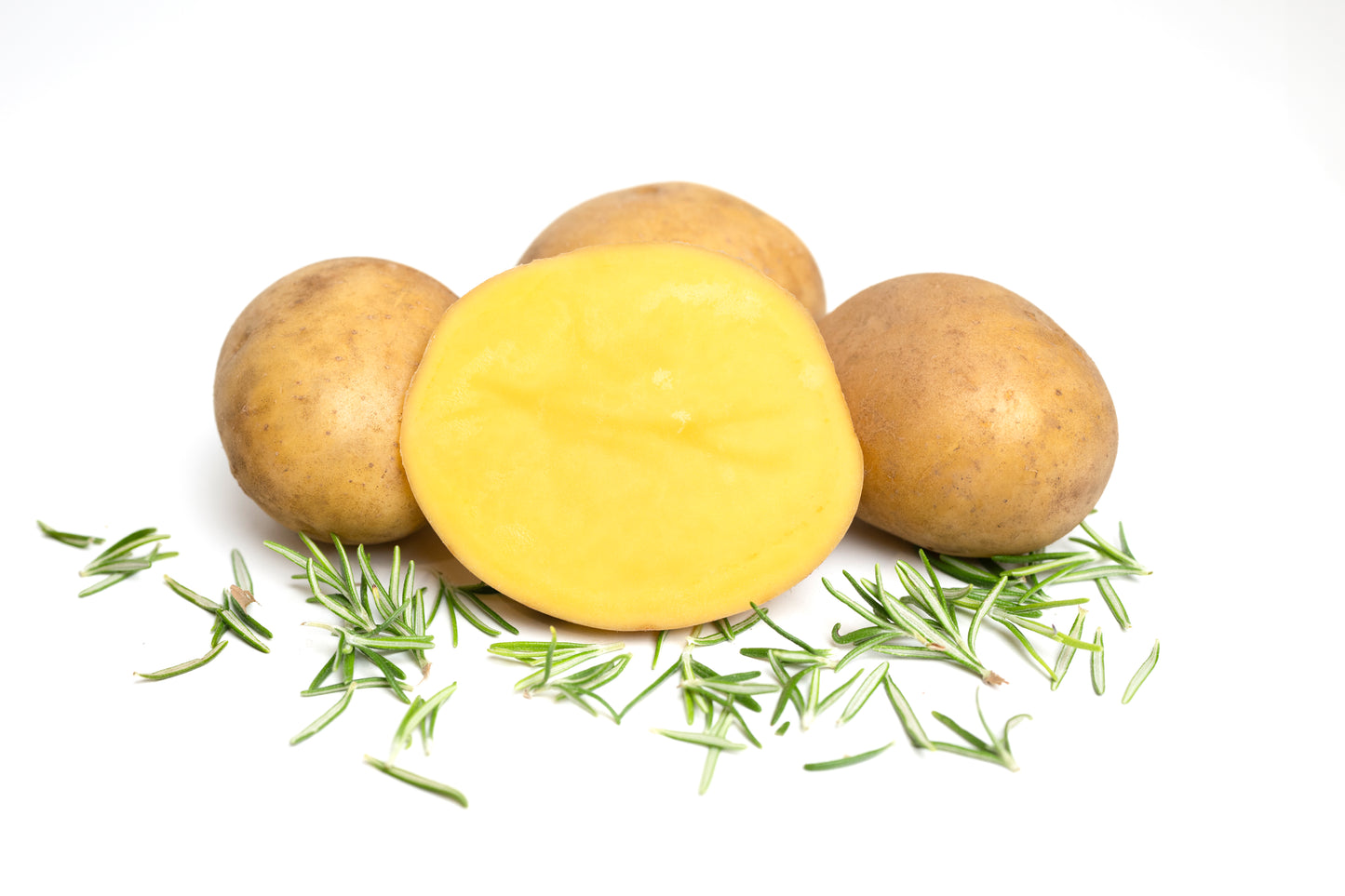 Aufgeschnittene Gala-Kartoffel vom Hof Lenz mit Rosmarin auf weißem Hintergrund – vorwiegend festkochend, gelbfleischig, ideal für Ofenkartoffeln und Pommes.