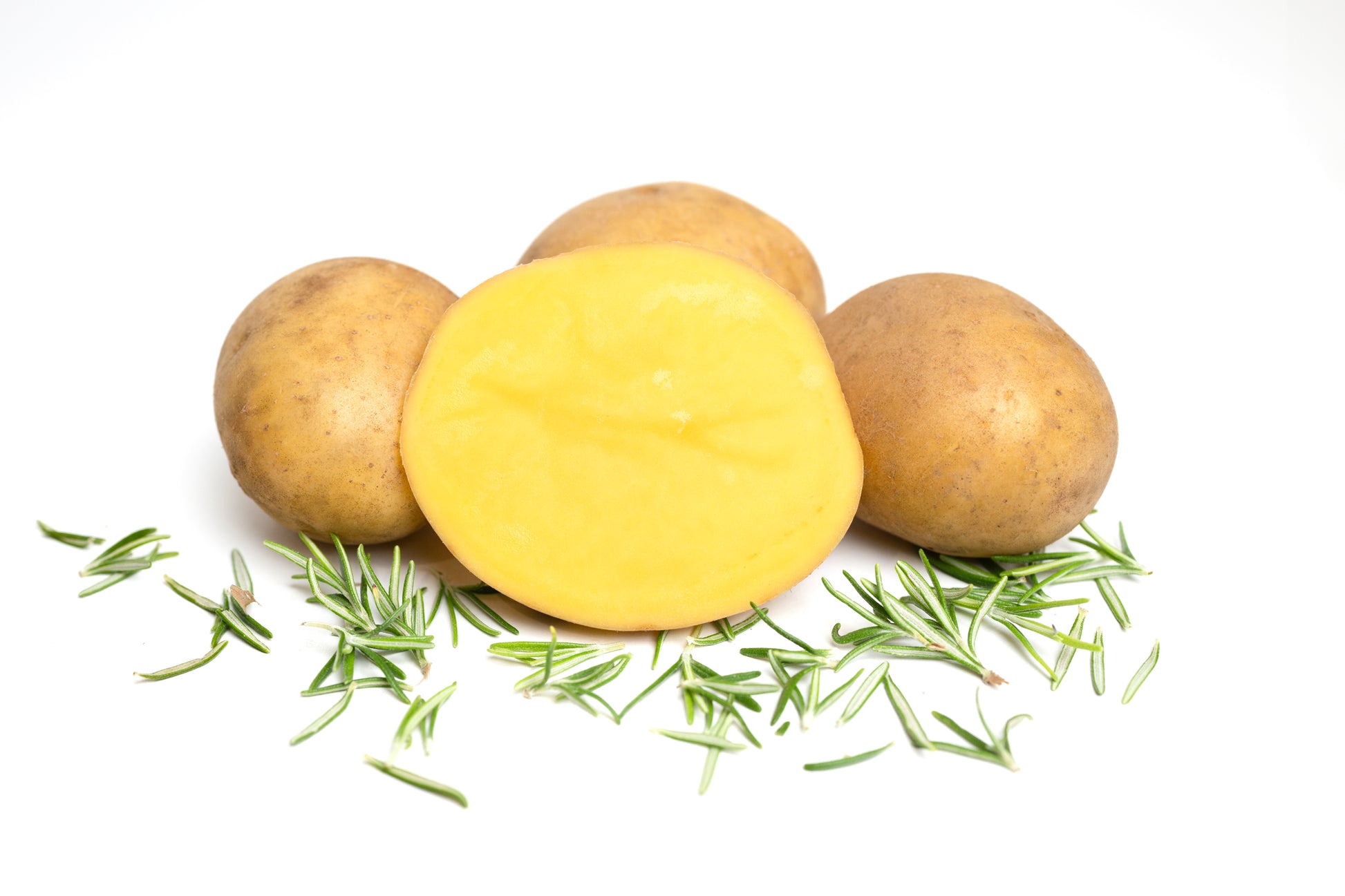 Aufgeschnittene Gala-Kartoffel vom Hof Lenz mit Rosmarin auf weißem Hintergrund – vorwiegend festkochend, gelbfleischig, ideal für Ofenkartoffeln und Pommes.