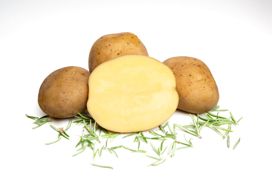 Lisana-Kartoffel aufgeschnitten mit Rosmarin, fotografiert auf weißem Hintergrund – festkochend, gelbfleischig, direkt vom Hof Lenz, ideal für Salzkartoffeln, Kartoffelsalat und feine Beilagen.