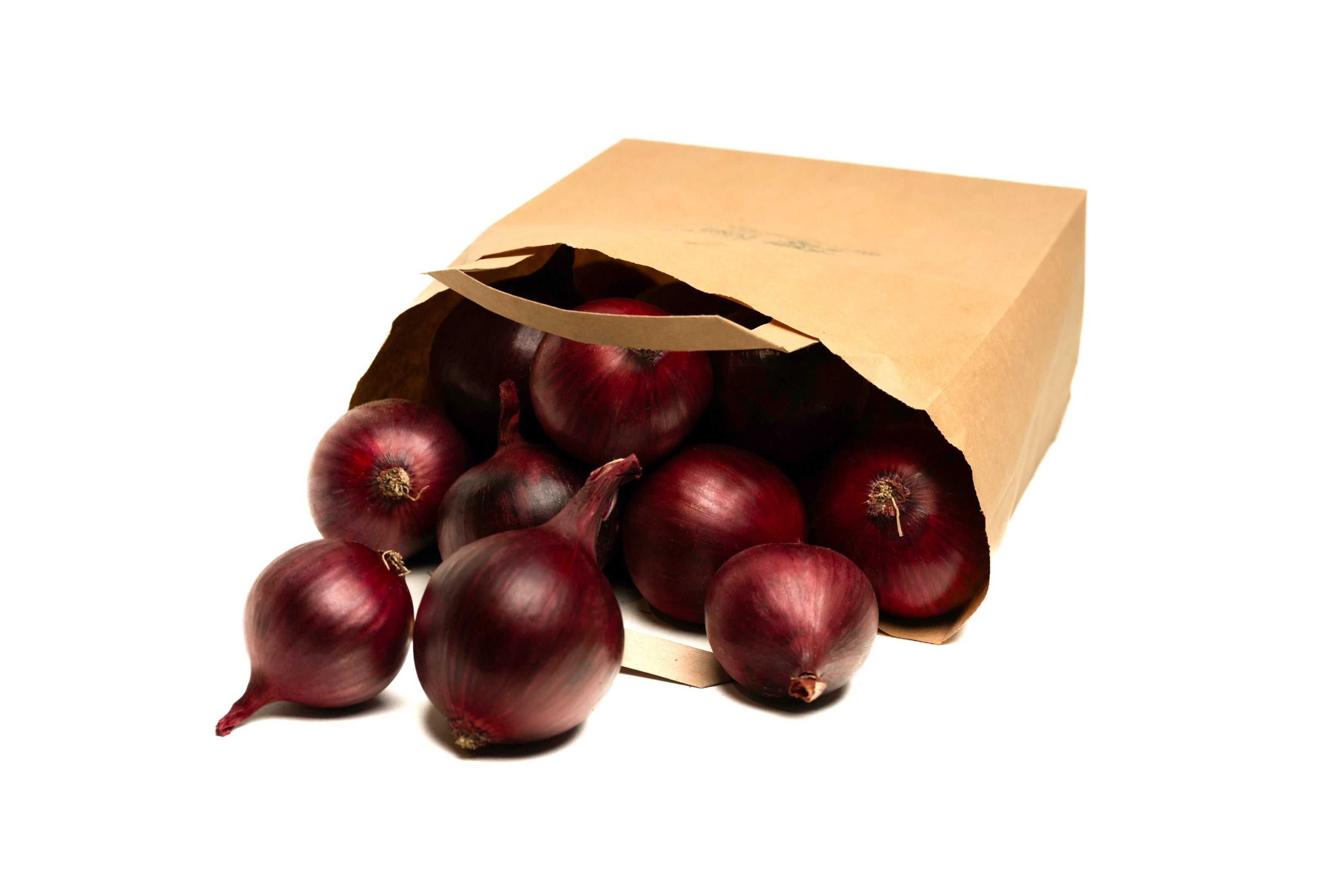 Rote Speisezwiebeln der Sorte Red Tide aus der Papiertüte – frisch geerntet vom Hof Lenz in Wrestedt. Intensiv im Aroma, feinschalig und vielseitig verwendbar für Salate, Chutneys und warme Gerichte.